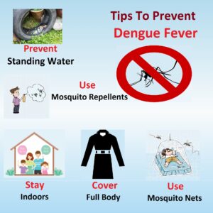 tips-to-prevent-dengue-fever